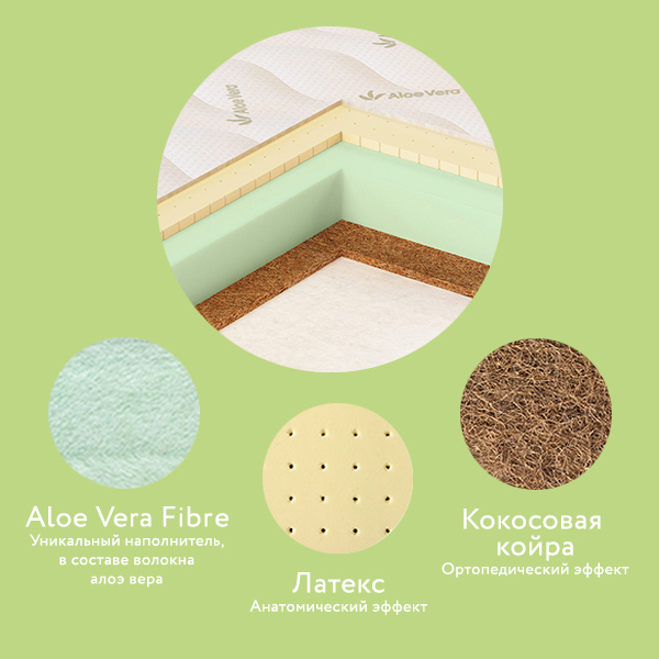 6. Aloe Vera Simple.jpg