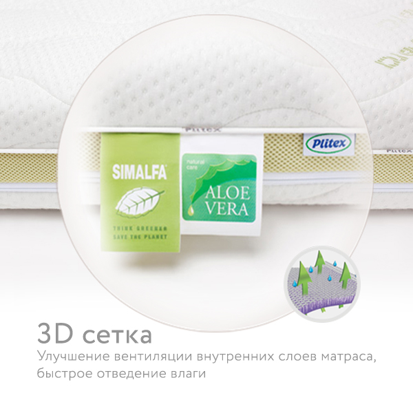 4. Aloe Vera Simple.jpg