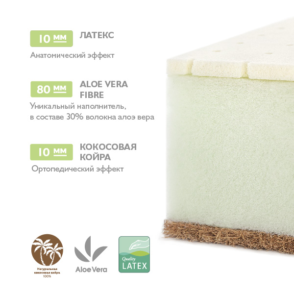 5. Aloe Vera Simple.jpg
