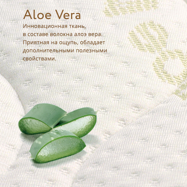 3. Aloe Vera Simple.jpg