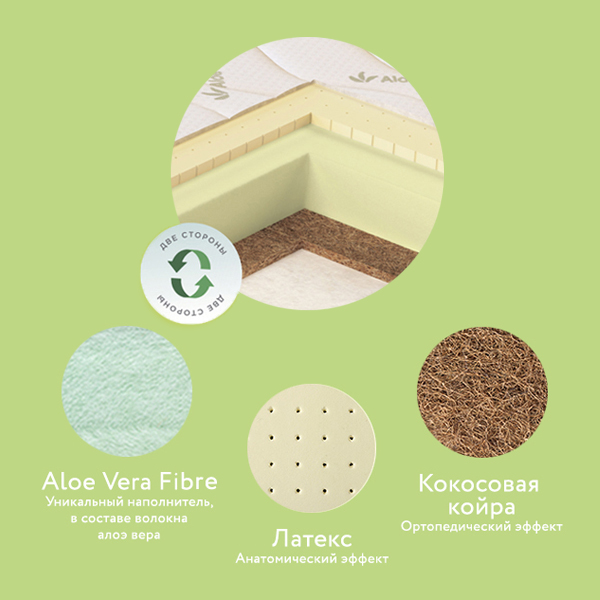 4. Aloe Vera Oval.jpg