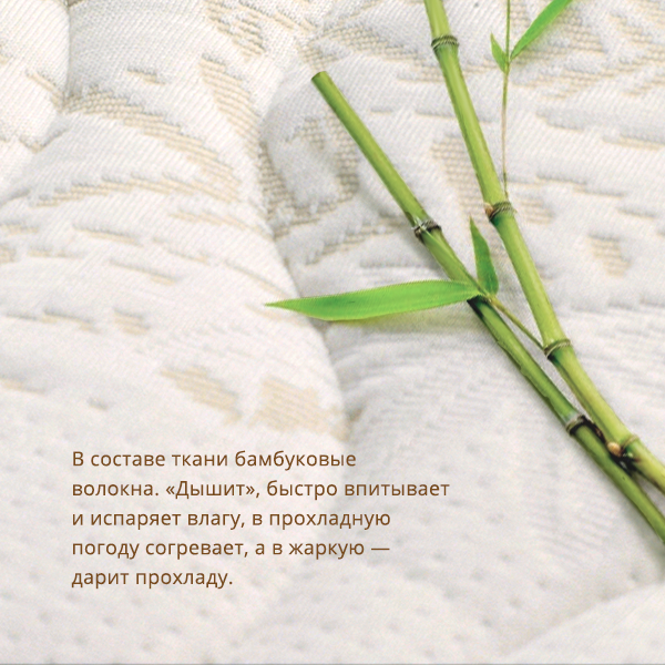 3. Bamboo Sleep.png