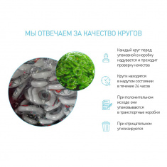 FLIPPER Круг на шею для купания малышей АНГЕЛ 3D-дизайн