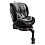 Pituso Удерживающее устройство для детей 0-36 кг Roys Black, Dark grey Inlay/Черный, Темно-сер вклад