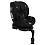 Pituso Удерживающее устройство для детей 0-36 кг Roys Black,Black Inlay/Черный,Черный вкладыш
